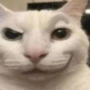 catty logo